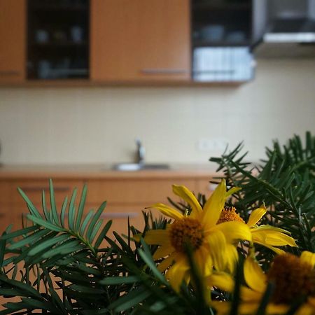 Green House พาลังกา ภายนอก รูปภาพ